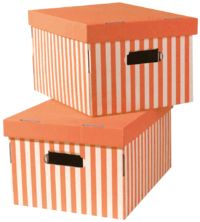 Lote de 2 cajas "Shirt" color naranja