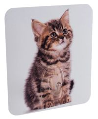 Gancho mágico: Gato