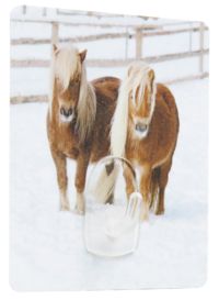 Gancho mágico: Poneys