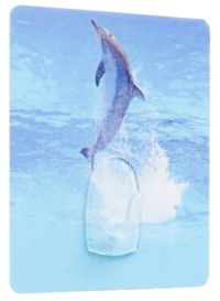 Gancho mágico: Delfín.