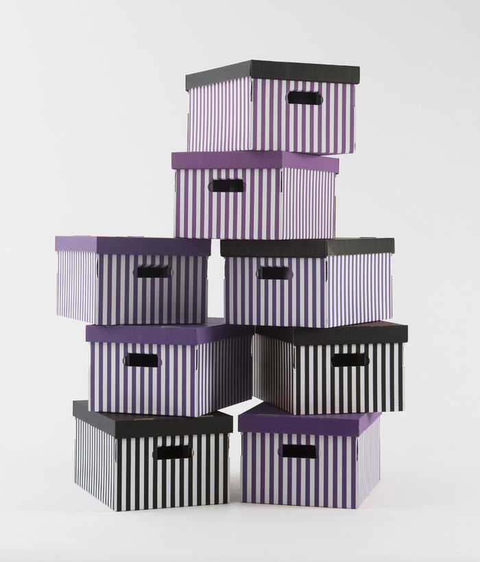 Lote de 2 cajas "Shirt" color negro 2 Compactor