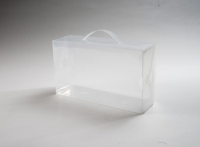Caja de almacenaje transparente talla M 2 Compactor