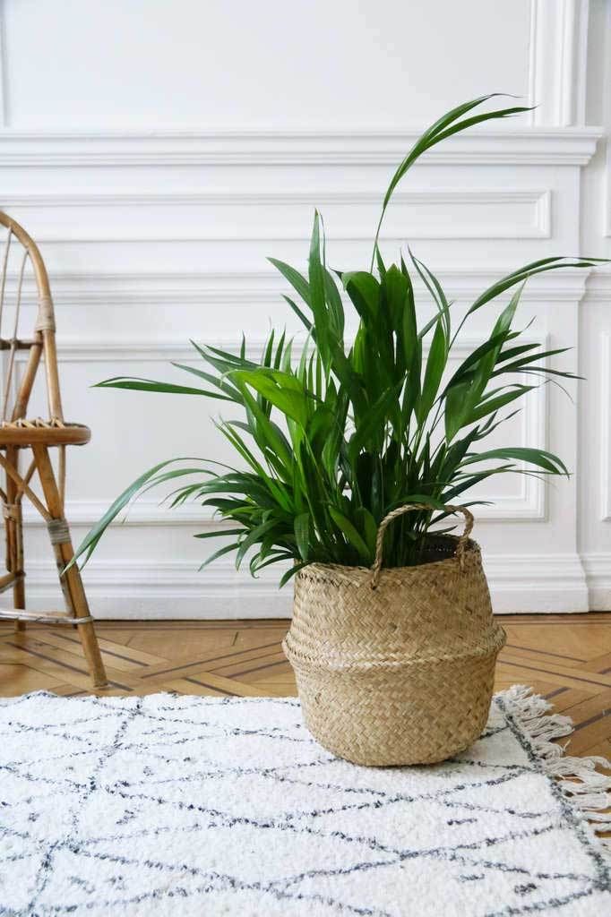 Cesta Belly natural S