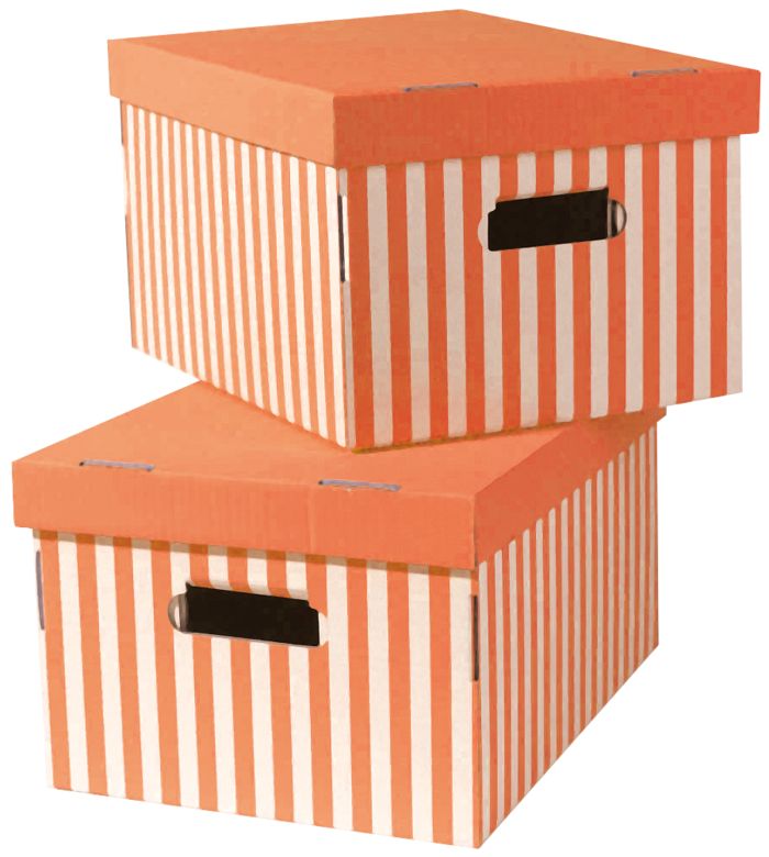 Lote de 2 cajas "Shirt" color naranja 1 Compactor
