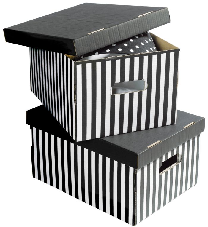 Lote de 2 cajas "Shirt" color negro 1 Compactor