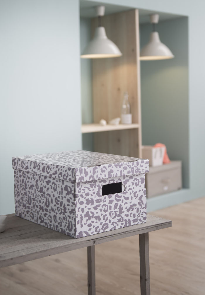 Lote de 2 cajas "Léo" 2 Compactor