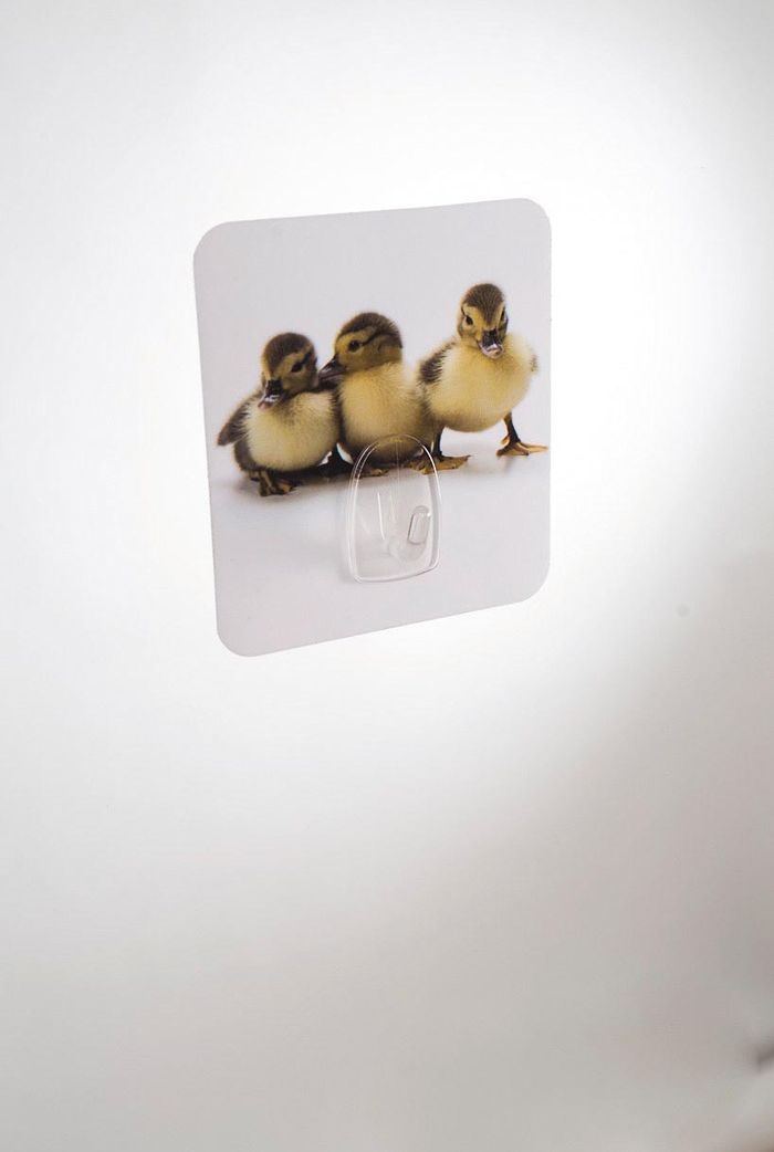 Gancho mágico: Patos 2 Compactor