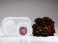 Lote de 4 cajas alimentarias + bomba de extracción de aire