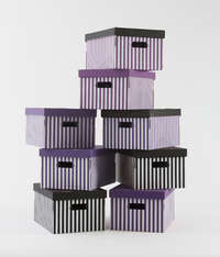 Lote de 2 cajas "Shirt" color negro