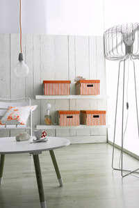 Lote de 2 cajas "Shirt" color naranja