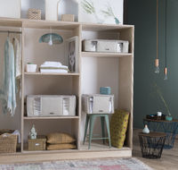 Lote De 3 Compactor Beige " 2.0" Talla L