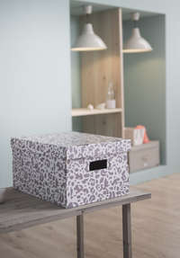 Lote de 2 cajas "Léo"